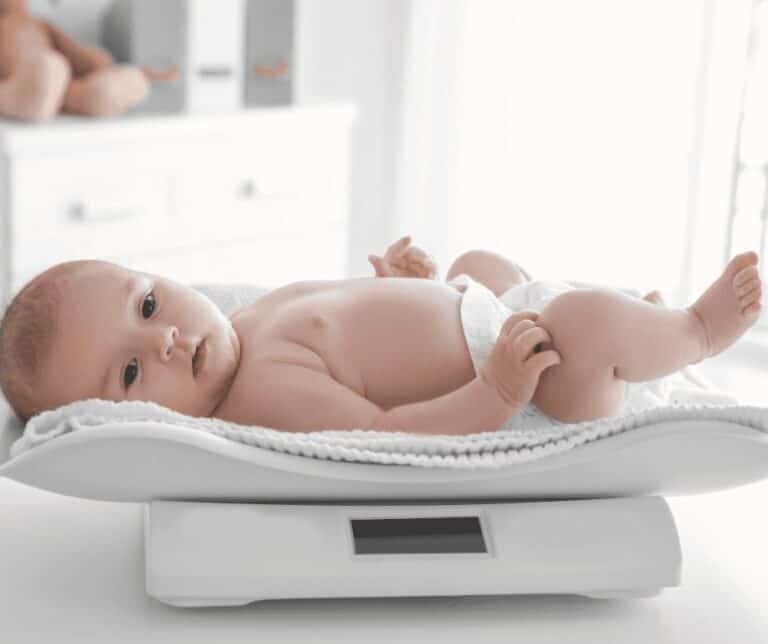 Baby Scale Roundup! The Best Baby Scales for 2022