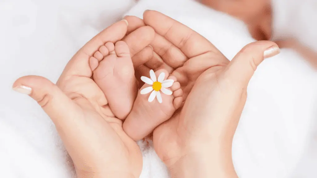 newborn baby feet with daisy mom hands