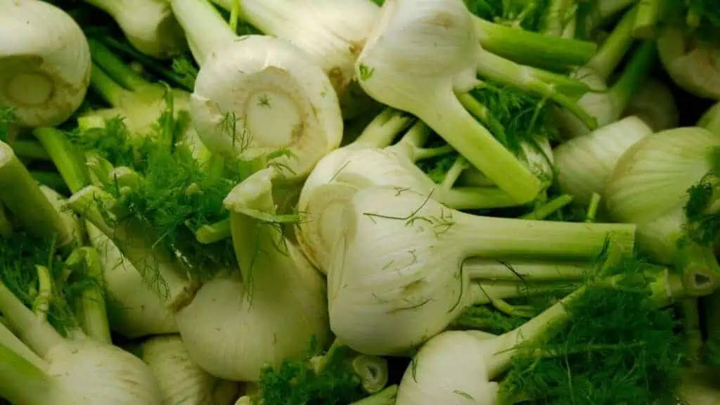fennel is a great milk boosting drink when steeped for tea