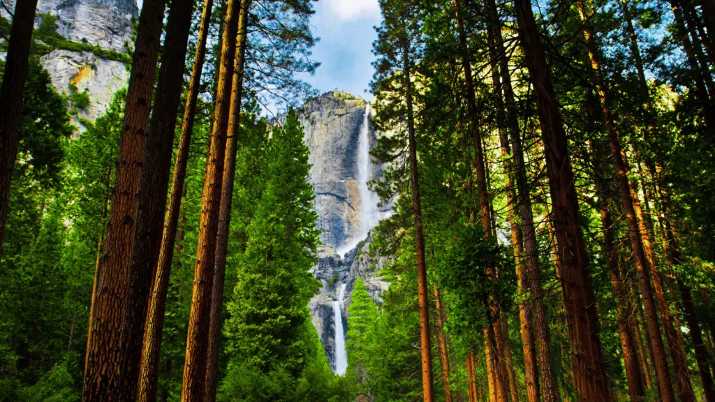 yosemite national park waterfall nature forest
