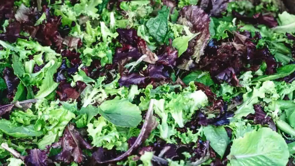 dark leafy greens for health- including break milk supply