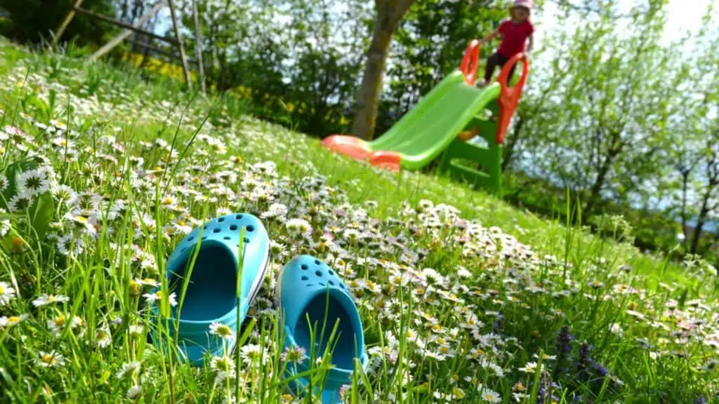 A spring meadow with daisies and a little boy slide with a slipper