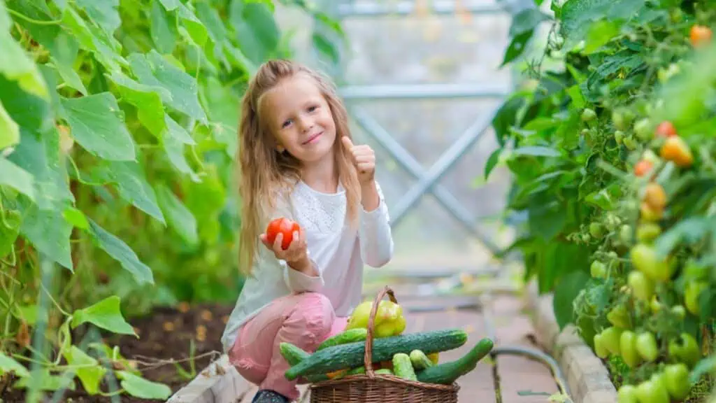 Happy little girl harvesting in greenhouse
