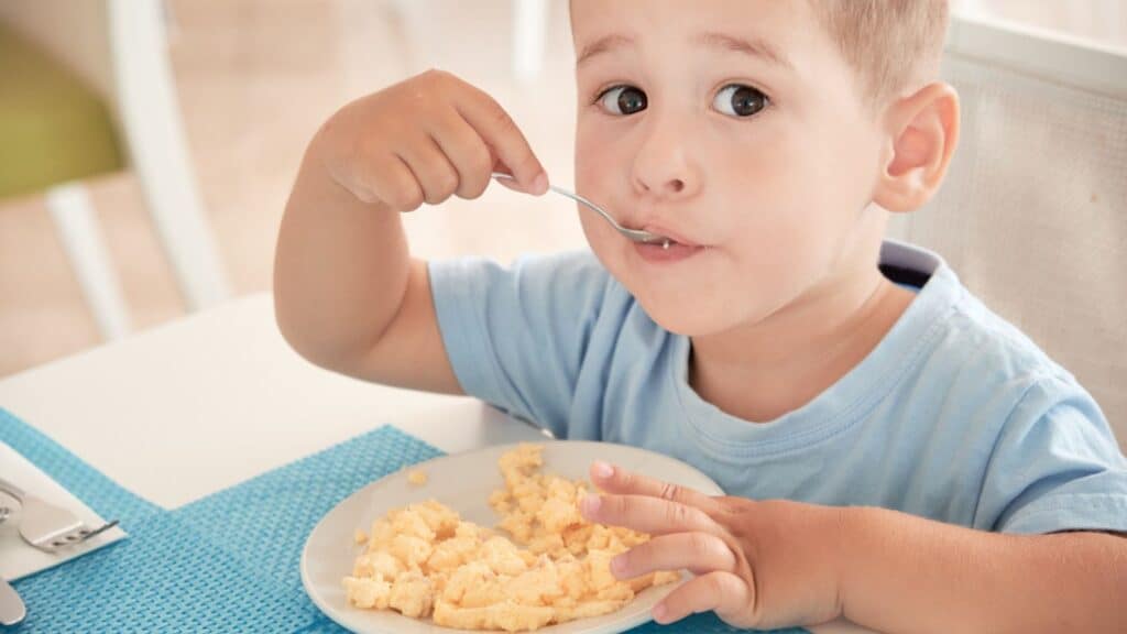Little boy eating breakfast eggs and looking at the camera