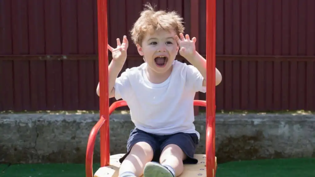 Smiling Little boy loves to swing