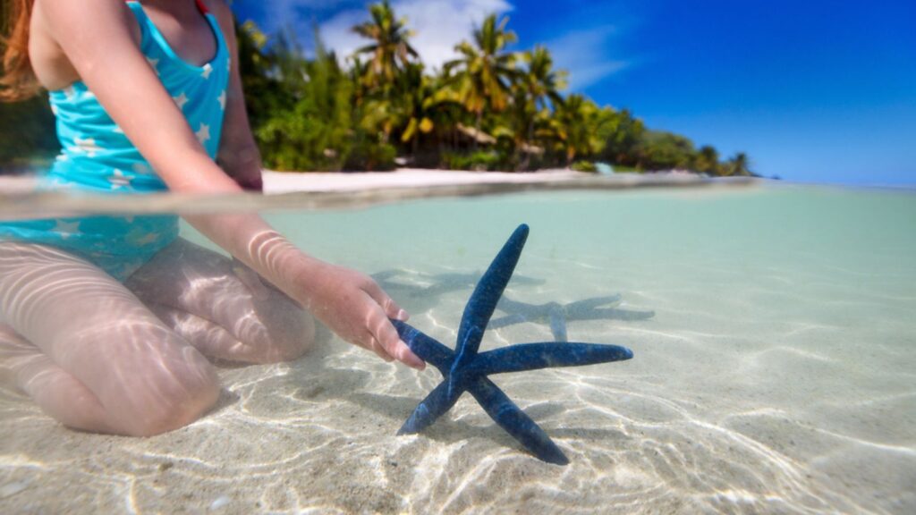 Little girl playing with starfish