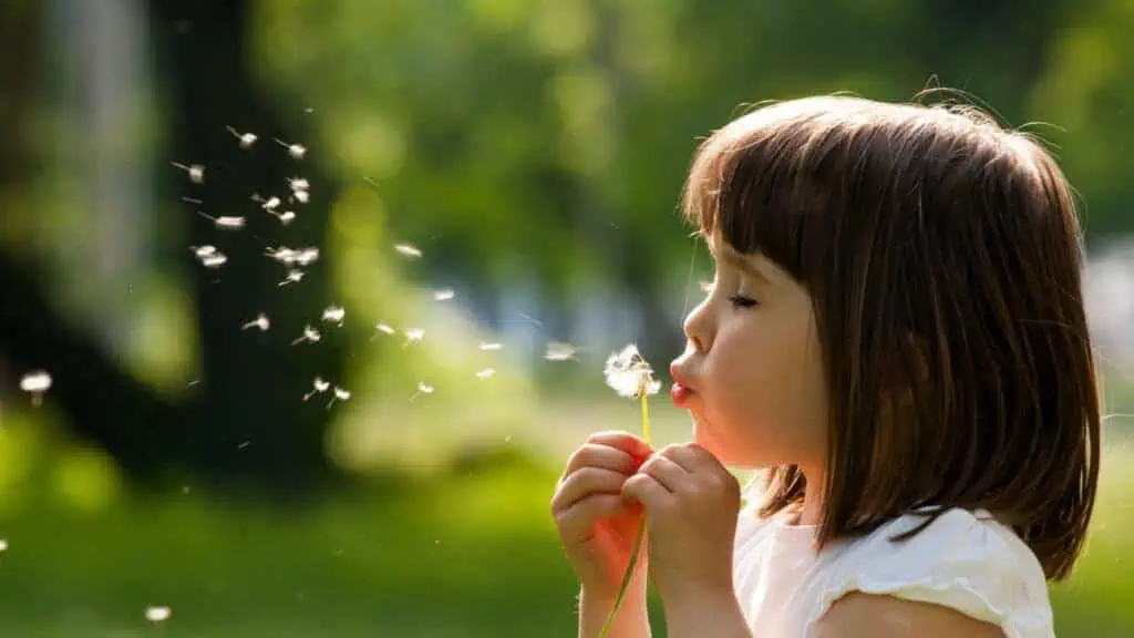 girl blowing dandelions