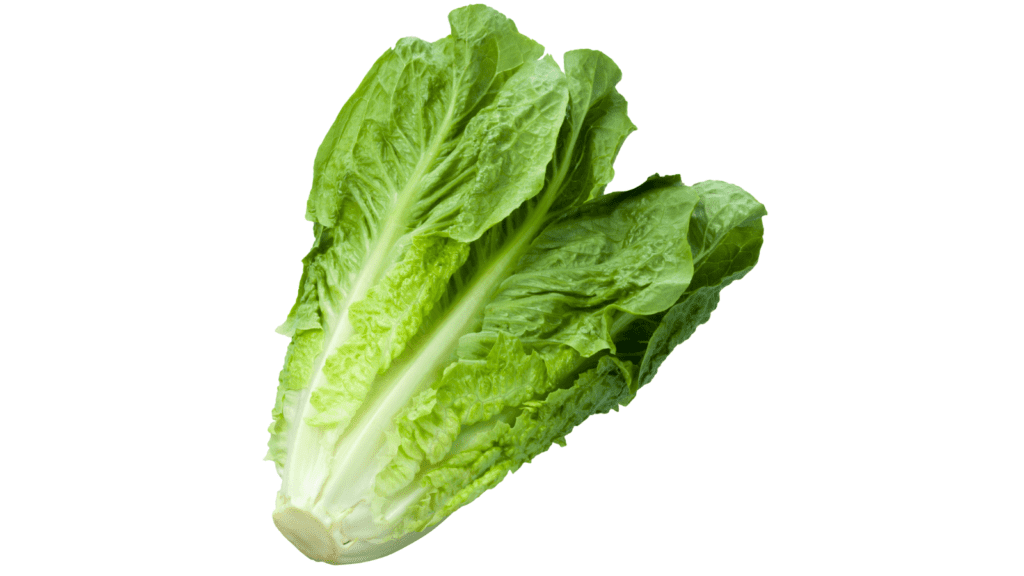 avoid lettuce during pregnancy