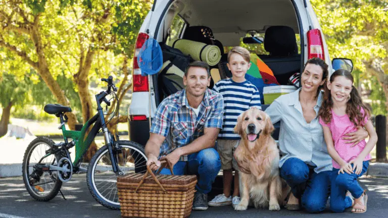 family travel bike dog picnic car