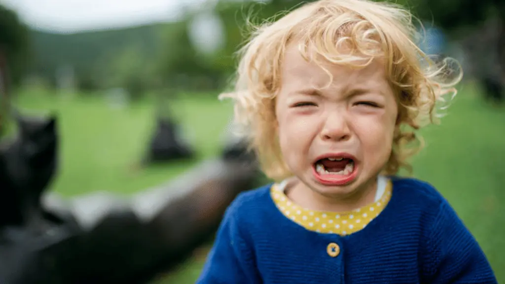 toddler crying melt down mad
