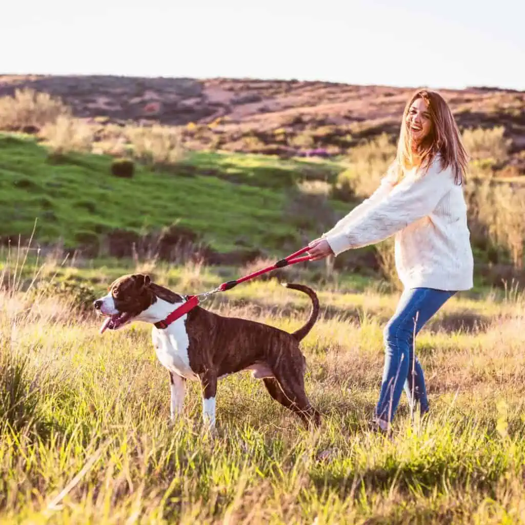 Woman dog walking, happy play time