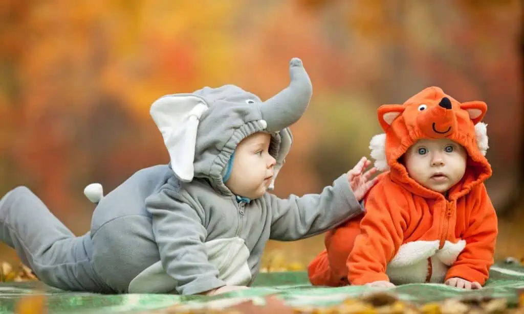 baby animal costume