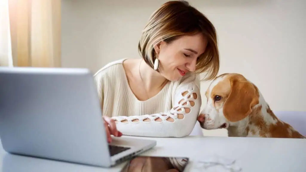 a woman works at a computer desk with her dog