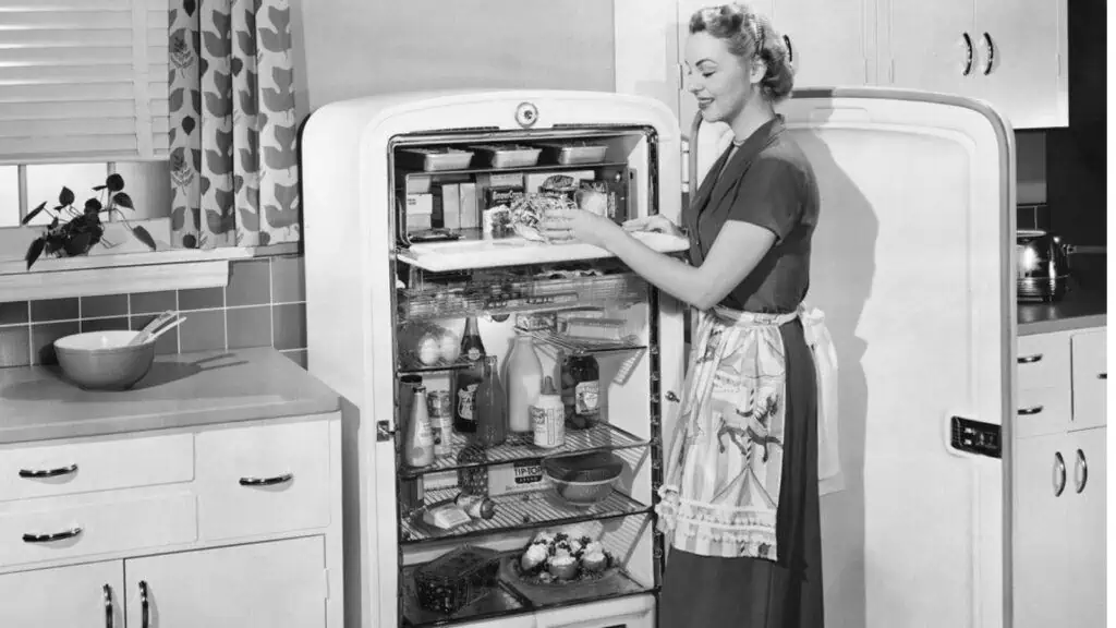 vintage kitchen lady at her fridge