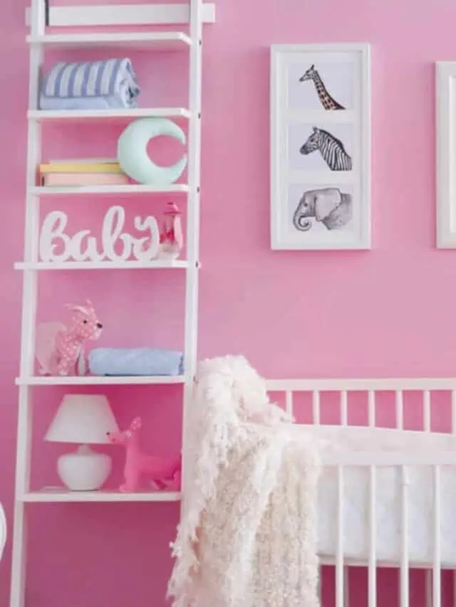 Baby bedroom with pictures of animals