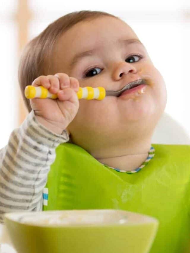 Best High Chair for Baby Led Weaning Mom Blog Life