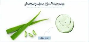 aloe vera lip mask