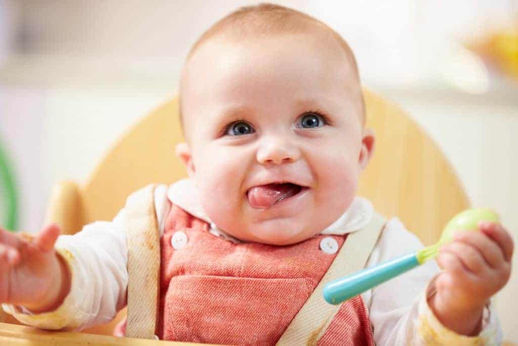 USDA Guidelines for Infants and Toddlers